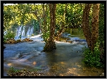 Bośnia i Hercegowina, Wodospady Kravica, Rzeka Trebižat, Wodospad, Las
