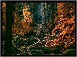 Las, Ścieżka, Skały, Jesień