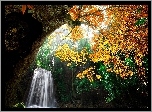 Las, Wodospad, Drzewo, Przebijające Światło, Jesień