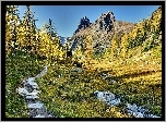 Góry, Lasy, Ścieżka, Jesień, Park Narodowy Yoho, Kanada