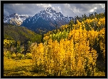 Jesień, Stany Zjednoczone, Kolorado, Szczyt, Mount Sneffels, Góry Skaliste, Lasy, Drzewa, Chmury