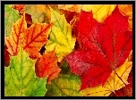 Kolorowe, Liście, Jesieni