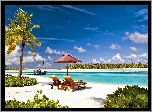 Malediwy, Laguna, Plaża, Palmy, Leżaki,  Wakacje