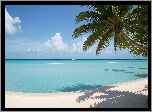 Morze, Plaża, Palma, Malediwy