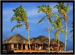 Malediwy, Hoteliki, Palmy, Morze