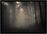 Las, Mgła, Mężczyzna