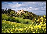 Włochy, Toskania, Prowincja Siena, Toskania, Villa Montesoli, Łąka, Kwiaty, Drzewa, Wzgórza