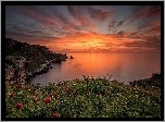 Bułgaria, Zachód słońca, Morze Czarne, Wybrzeże, Kwiaty, Piwonie