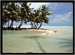 Morze, Laguna, Palmy, Kiribati