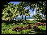 Morze, Park, Palmy, Puerto Rico