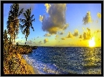 Morze, Chmury, Palmy, Zachód Słońca, Barbados