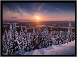 Finlandia, Laponia, Gmina Posio, Park Narodowy Riisitunturi, Zima, Drzewa, Świerki, Zachód słońca
