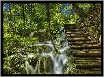 Chorwacja, Park Narodowy Jezior Plitwickich, Las, Wodospad, Mech, Drewniane, Schodki, Roślinność