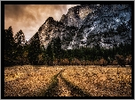Stany Zjednoczone, Stan Kalifornia, Park Narodowy Yosemite, Góry Half Dome, Ścieżka, Drzewa