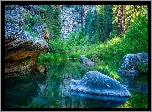 Stany Zjednoczone, Stan Utah, Park Narodowy Zion, Rzeka Virgin,  Kamienie, Drzewa, Skały