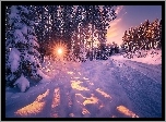 Zima, Śnieg, Las, Drzewa, Droga, Promienie słońca