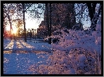 Zima, Śnieg, Dom, Drzewa, Krzewy, Promienie, Słońca