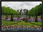 Francja, Paryż, Wersal, Park, Staw, Most, Kwiaty, Tulipany, Niezapominajki
