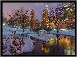 Nowy Jork, Park, Zima