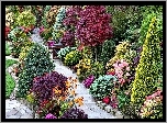 Ogród, Kolorowe, Krzewy, Kwiaty, Alejka, Ławka