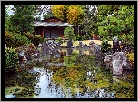 Ogród japoński Seiryu-en garden, Zamek Nijo, Kioto, Japonia, Staw, Kamienie, Drzewa, Krzewy