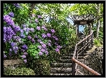 Ogród, Schody, Hortensja, Japonia