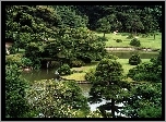 Japoński, Ogród, Staw