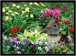Ogród, Różne, Kolorowe, Kwiatki, Budka