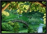 Ogród, Japoński, Mostek, Drzewa
