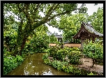 Park, Ogród japoński, Staw, Drzewa, Krzewy, Dom