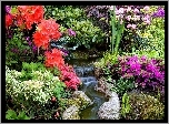 Ogród, Kaskada, Kolorowe, Różaneczniki, Azalie