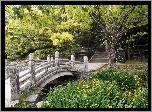 Ogród, Japoński, Mostek, Roślinność, Japonia