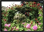 Ogród, Różany