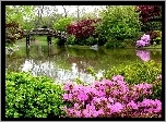 Ogród, Mostek, Woda, Kwiaty