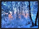 Zima, Oszronione, Drzewa