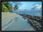 Wyspa Dhoores, Południowy atol, Malediwy, Morze, Kamienista, Plaża, Drzewa, Palmy