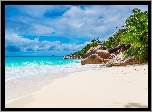 Plaża Anse St Jose, Wyspa Curieuse, Seszele, Morze, Kamienie, Palmy