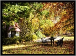 Park, Drzewa, Jesień, Ławeczki, Altanka