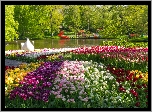 Park, Tulipany, Staw, Drzewa, Holandia, Kwiaty