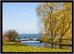Park, Mostek, Jezioro, Wierzba