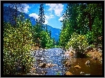 Kalifornia, Park Narodowy Yosemite, Rzeka, Góry, Drzewa, Las