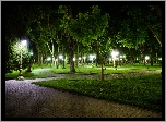 Park, Alejki, Drzewa, Latarnie, Noc