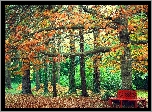 Park, Ławka, Drzewa, Liście, Jesień
