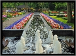 Lisse, Park, Keukenhof, Fontanna, Gazony Kwiatowe, Holandia