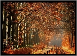 Park, Droga, Drzewa, Mgła, Jesień
