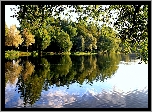 Park, Rzeka, Pływające, Kaczki