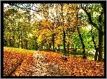 Park, Ławeczka, Rzeka, Jesień