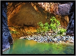 Park Narodowy Zion, Rzeka Virgin River, Kanion Zion Narrows, Skały, Kamienie, Roślinność, Stan Utah, Stany Zjednoczone
