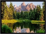 Stany Zjednoczone, Stan Wyoming, Park Narodowy Grand Teton, Rzeka Snake River, Las, Góry, Odbicie