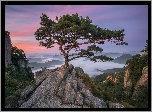 Park prowincjonalny Daedunsan, Wschd Soca, Drzewa, Sosny, Gry, Prowincja Jeolla Pnocna, Korea Poudniowa